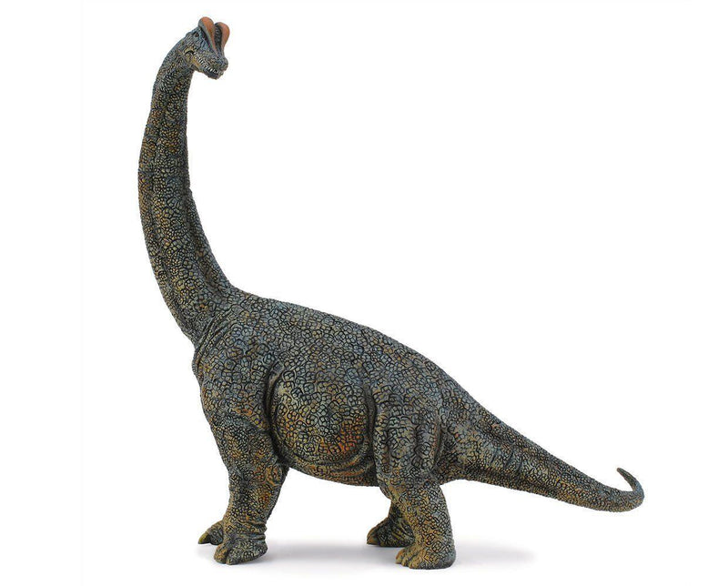 Brachiosaurus Deluxe