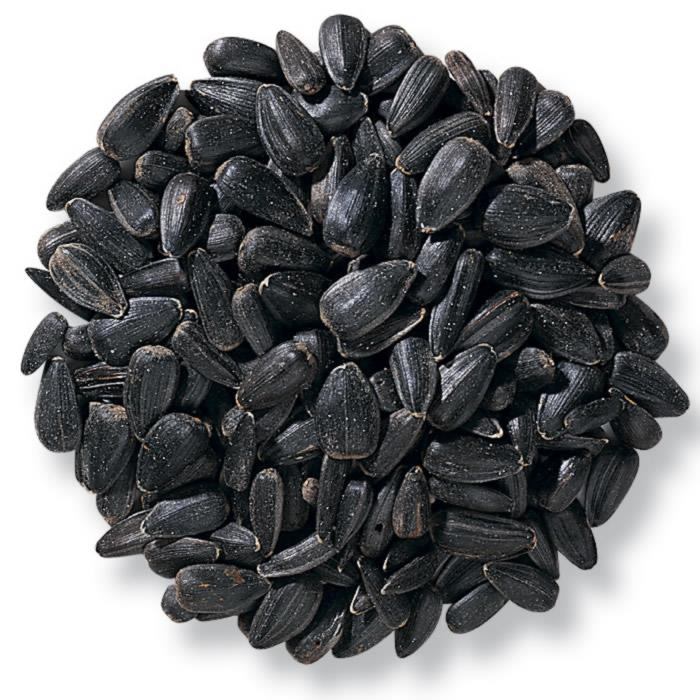 Black Oil Sunflower Seeds - Bulk - 50LBs