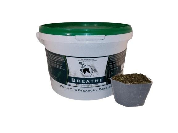 Herbs for Horses Breathe with No Garlic