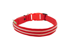 4ID LED Lite-Up Dog Collar - Red