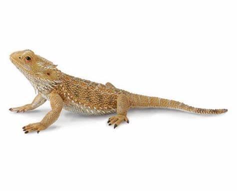Breyer - CollectA Insects - Bearded Dragon Lizard - Pognas