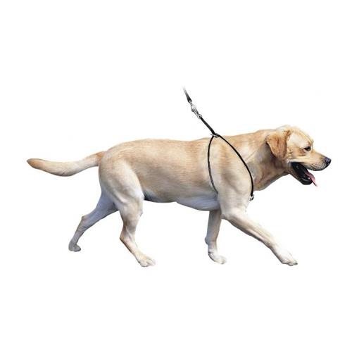 Lupi Harness - Dog Harness - Anti-pulling