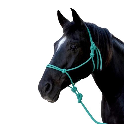 Cavalier Mountain Rope Halter with 8 Ft Lead