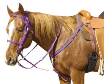 Bridle and Go Tack Set - 5 Pieces