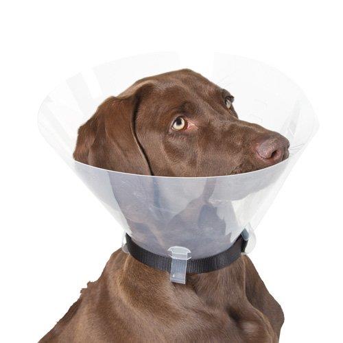 Elizabethan Collar for Dogs & Cats