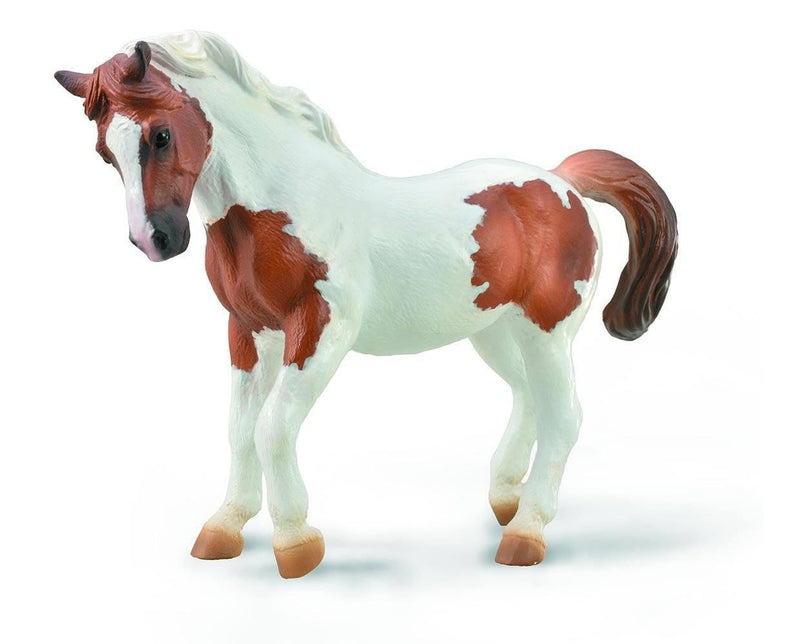 Breyer CollectA - Chincoteague Pony - Chestnut Pinto