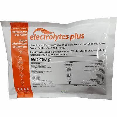 Vetoquinol - Electrolytes Plus - 400g