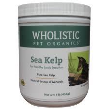 Raw Paw Supplement Norweigan Kelp for pets