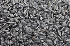 Striped Sunflower Seeds - 50LBs