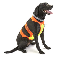 Remington Orange Chest Protector for Dogs - Large