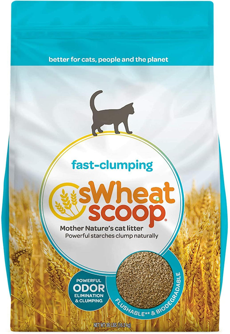 Swheat Scooop - Fast Clumping Cat Litter - 36LBs